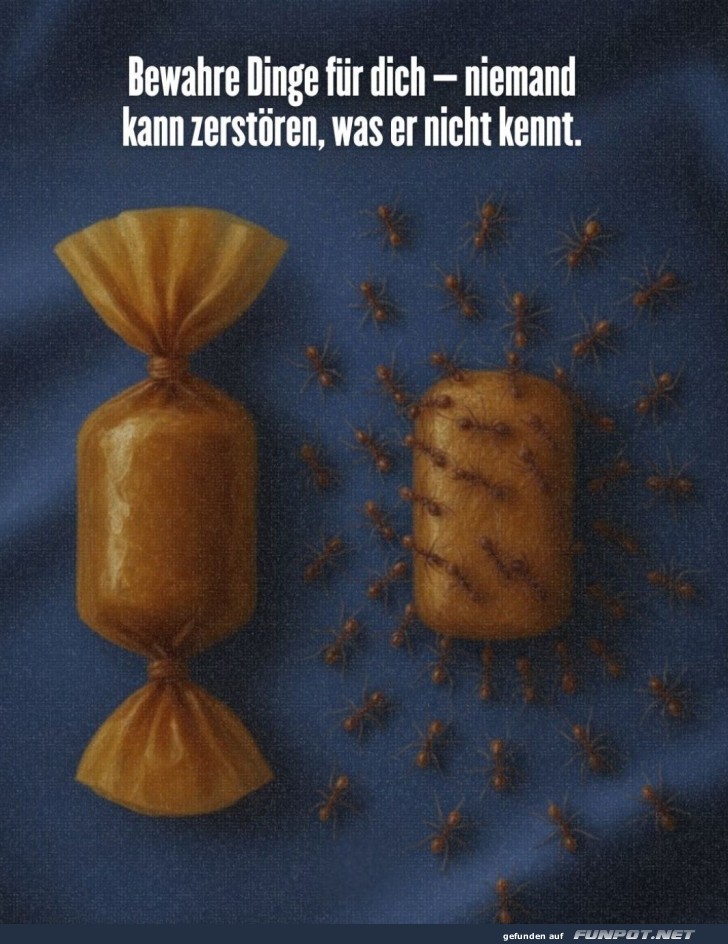 Ameisenparty: Süßes Versteckspiel