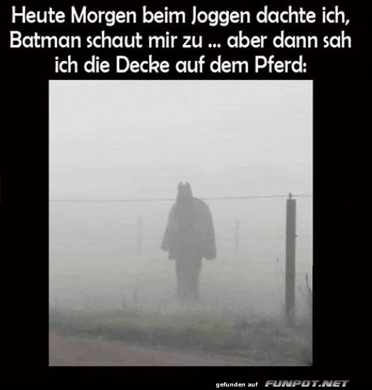Batman oder Pferd? Nebel-Illusion entlarvt!