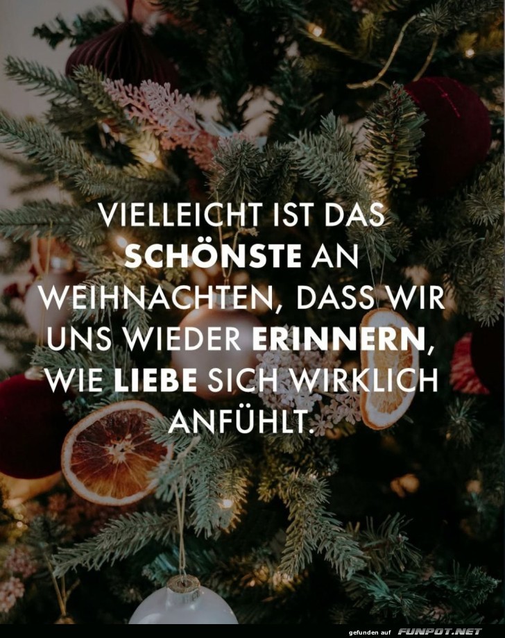 Wenn der Weihnachtsbaum zur Kuschelnacht ruft