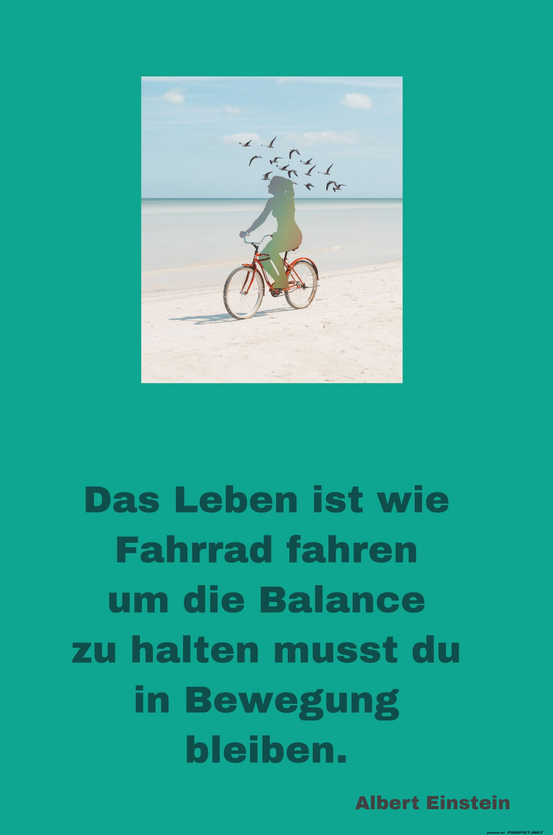 das leben ist wie fahrrad fahren
