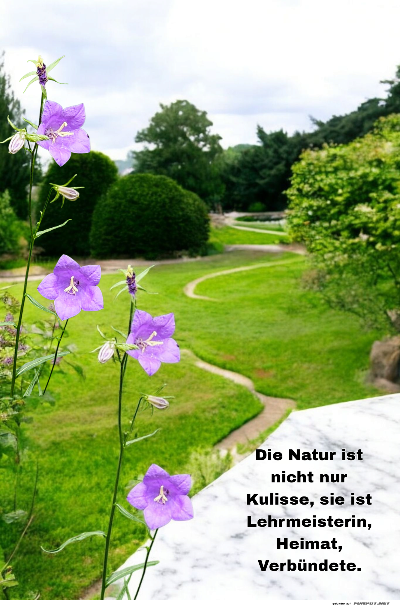 die natur ist nicht nur kulisse