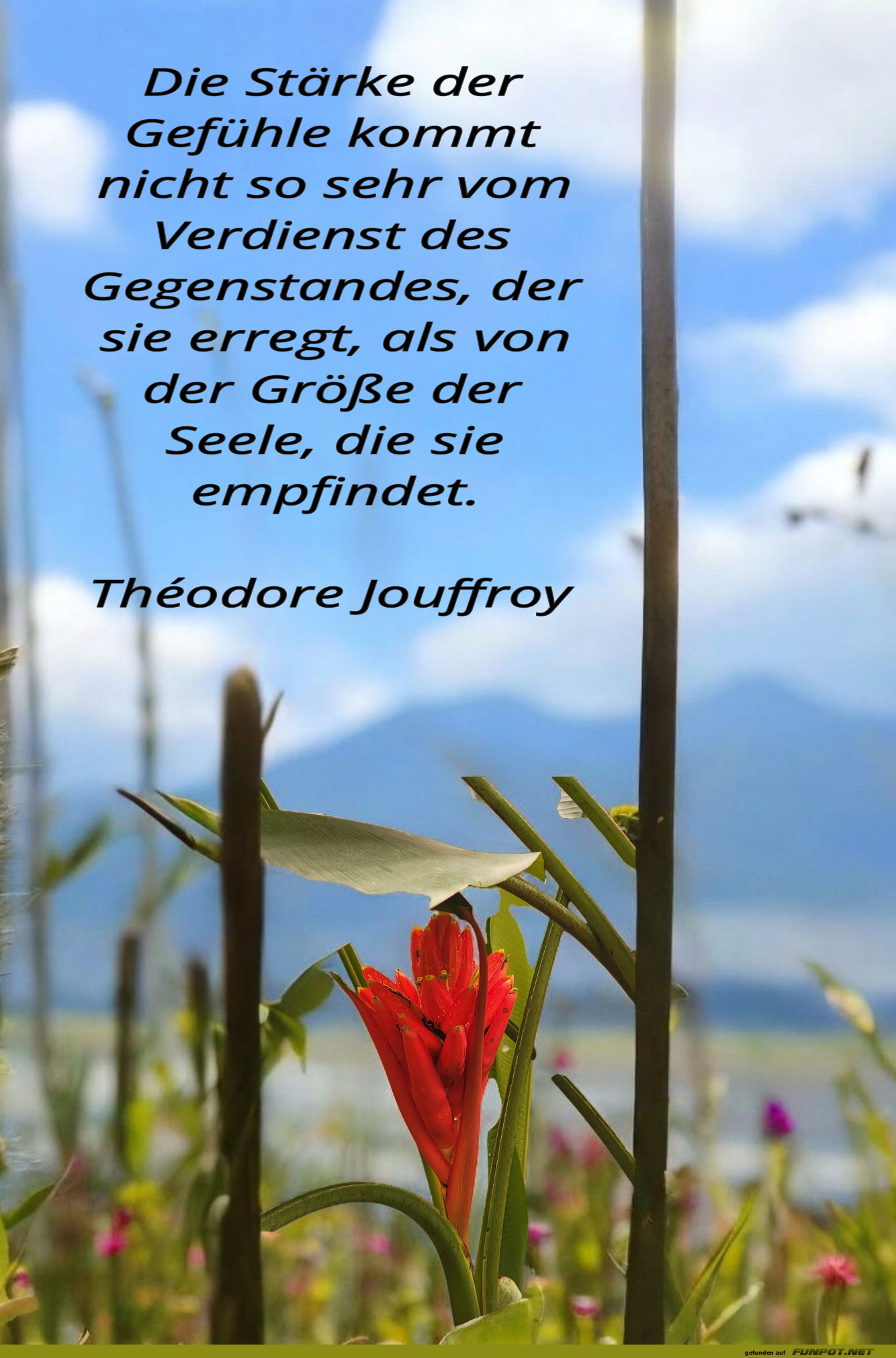 die stärke der gefühle