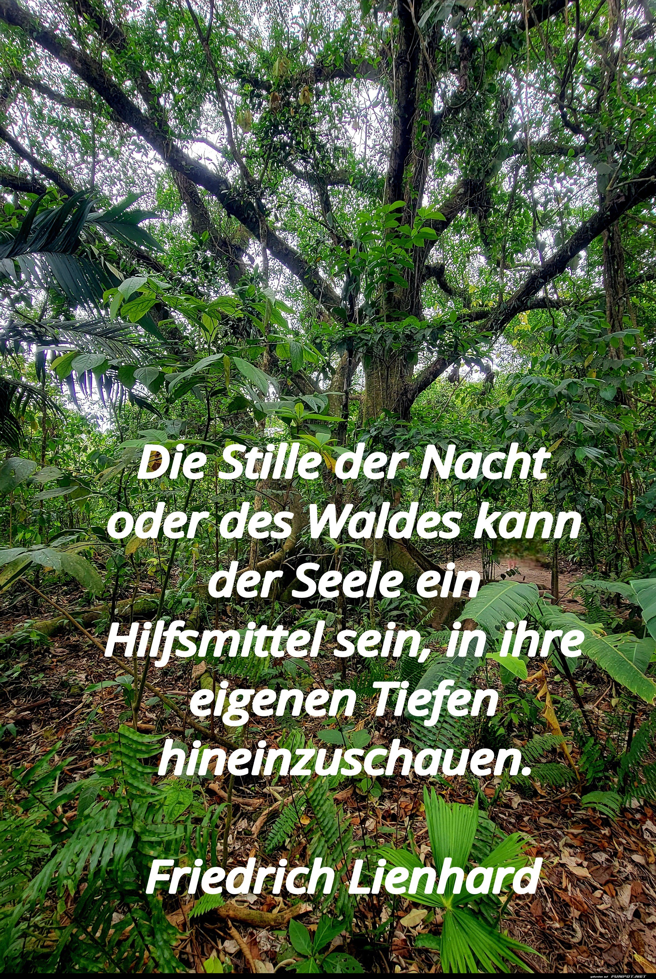 die stille der nacht