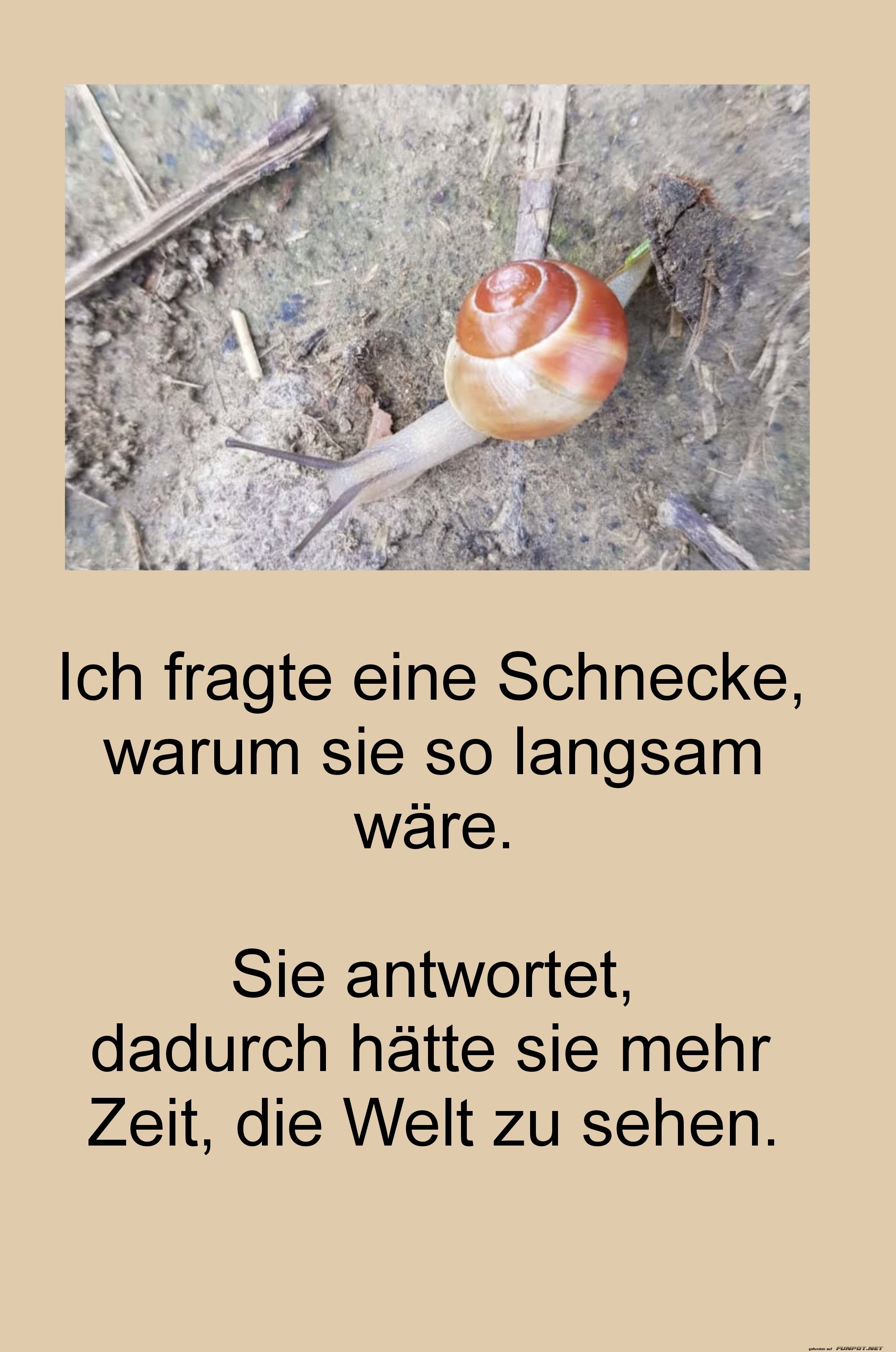 ich fragte eine schnecke