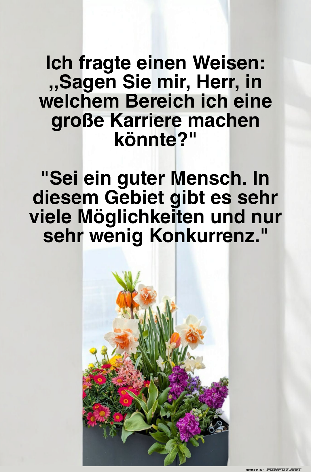 ich fragte einen weisen