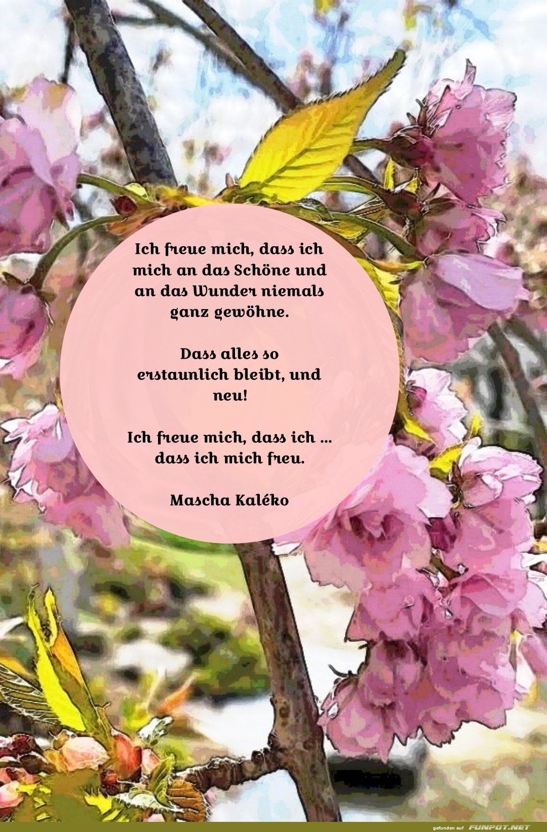 ich freue mich, dass ich