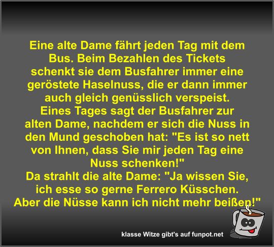 Eine alte Dame fhrt jeden Tag mit dem Bus