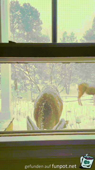 Tierischer Besuch Tierischer Besuch