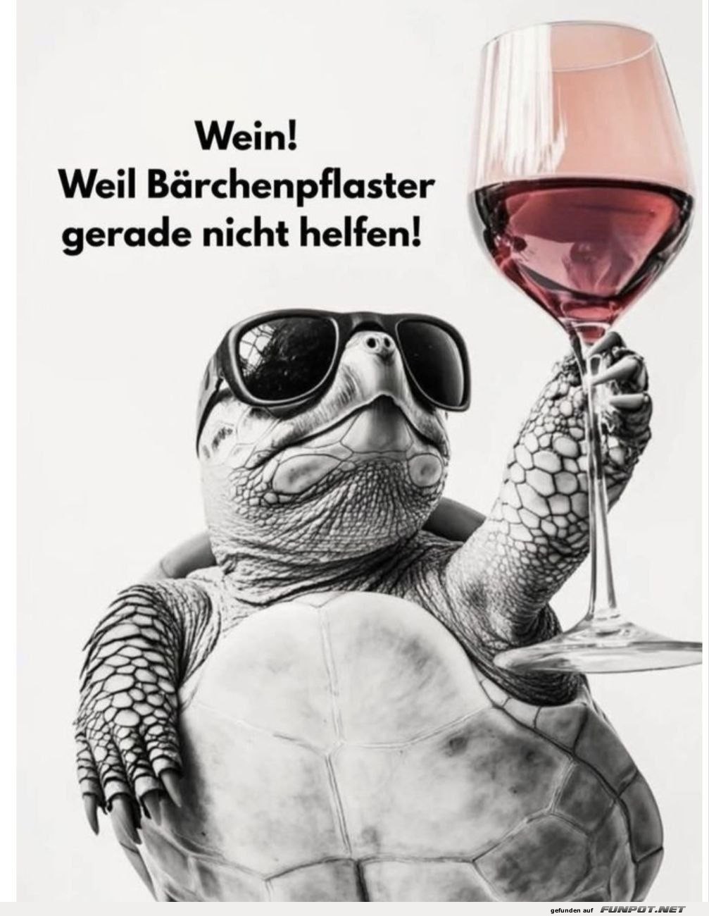 Coole Schildkrte mit einem Plan
