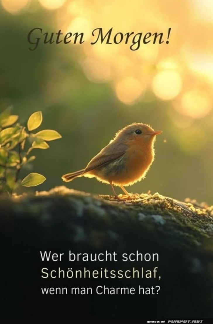 Morgenzauber: Der frühe Vogel glänzt!