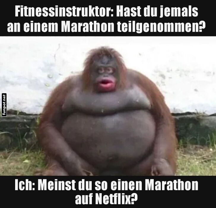 Marathon-Experte auf der Couch