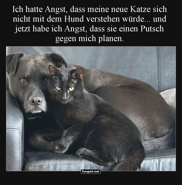 Geheime Machtübernahme im Wohnzimmer!