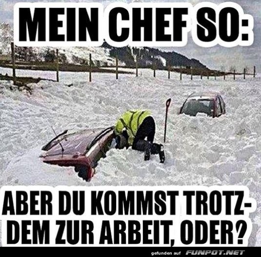 Mein Chef so