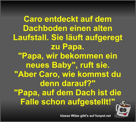 Caro entdeckt auf dem Dachboden einen alten Laufstall