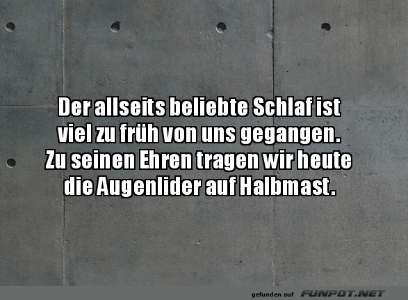 Der beliebte Schlaf