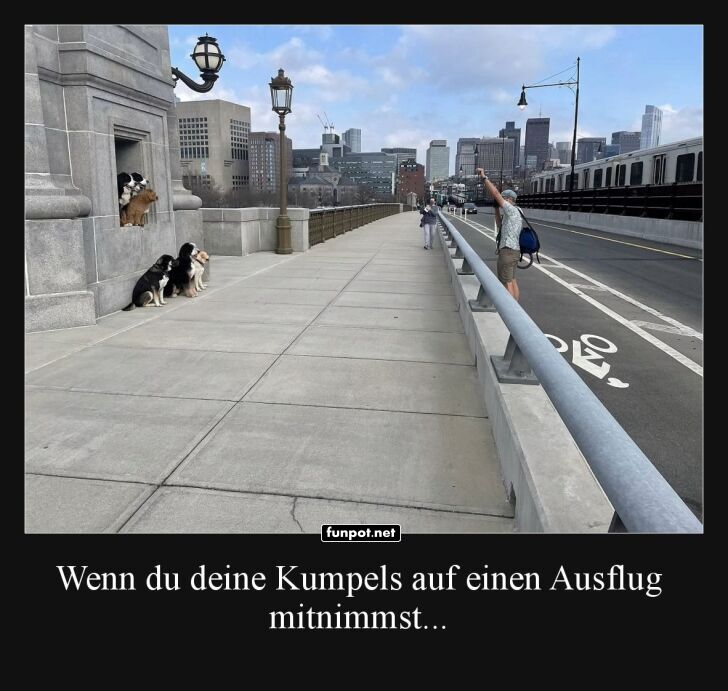 Stadtbummel mit den felligen Freunden Stadtbummel mit den felligen Freunden