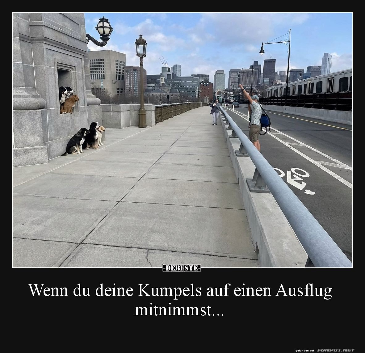 Stadtbummel mit den felligen Freunden