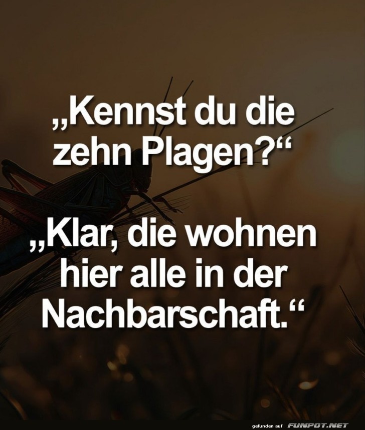 Wenn Plagen zur Nachbarschaft ziehen