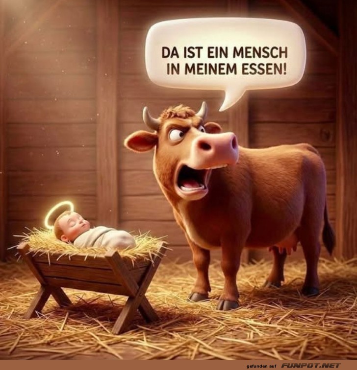 Kuh mit Sinn fr Humor entdeckt Baby im Heu