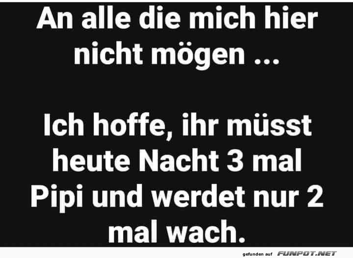 Die Rache der Nachtwanderungen