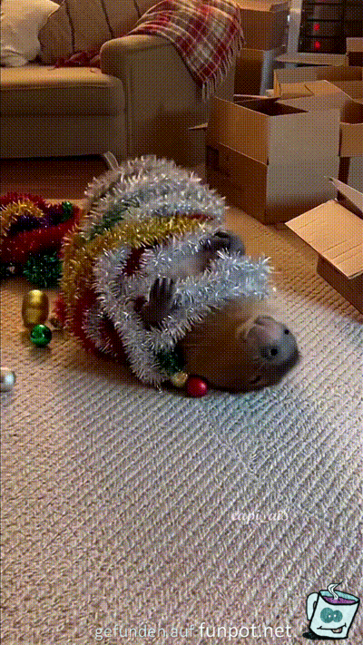 Christmas Burrito