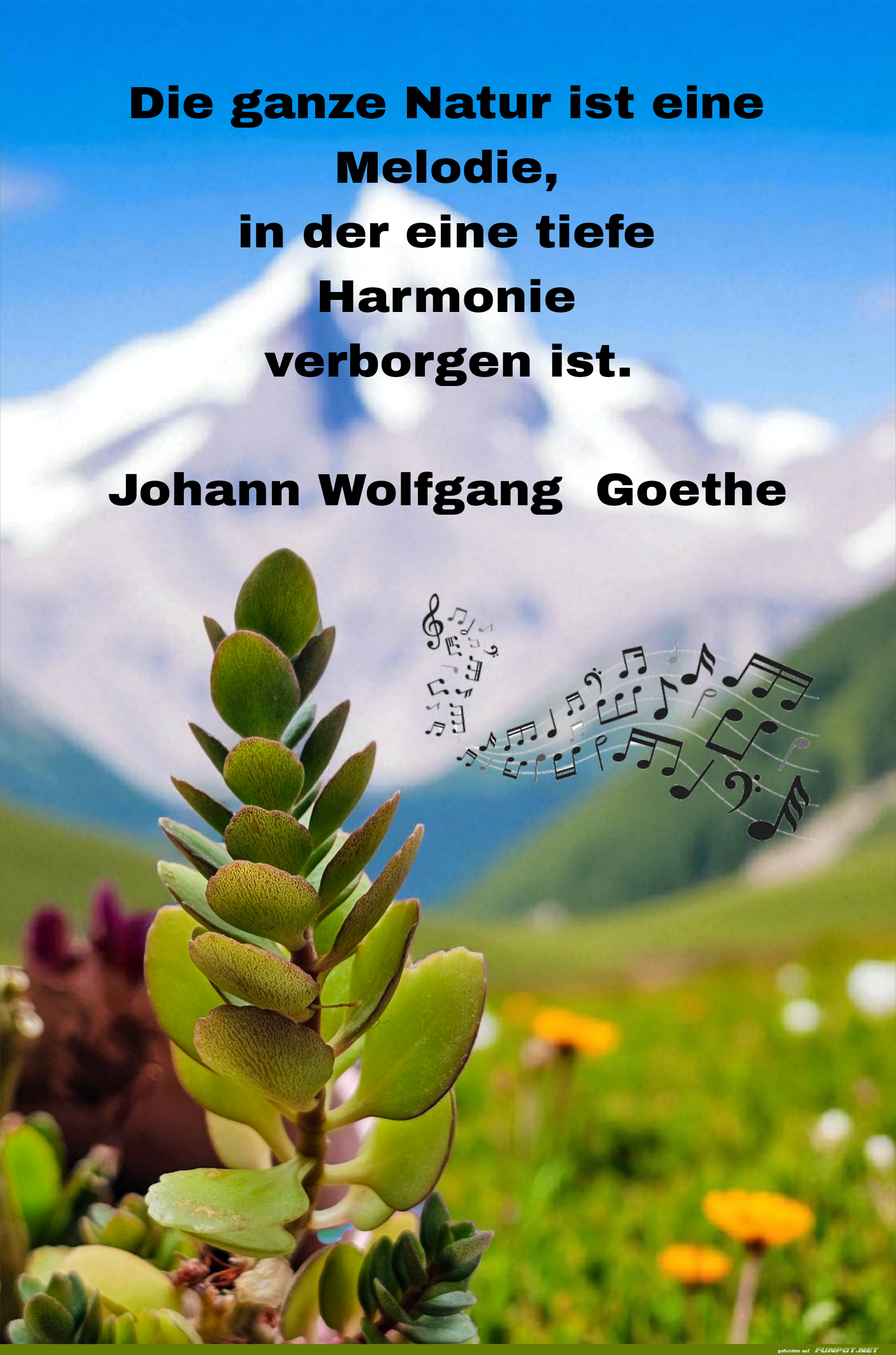 die ganze natur ist eine melodie