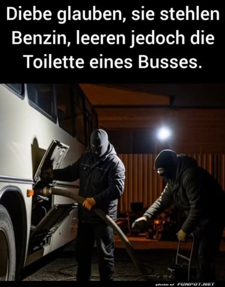 Wenn der Raubzug nach hinten losgeht!