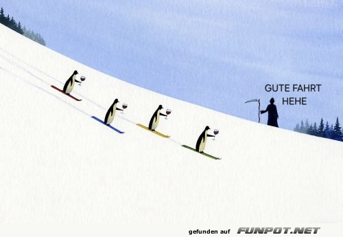 Schussfahrt mit Humor