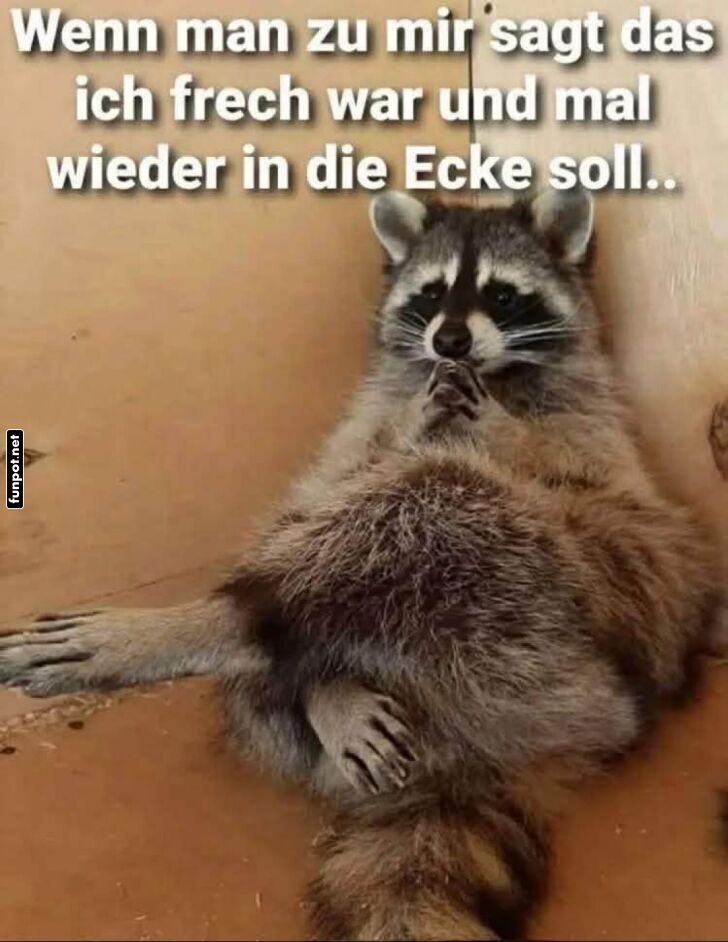 Frechdachs in der Ecke!