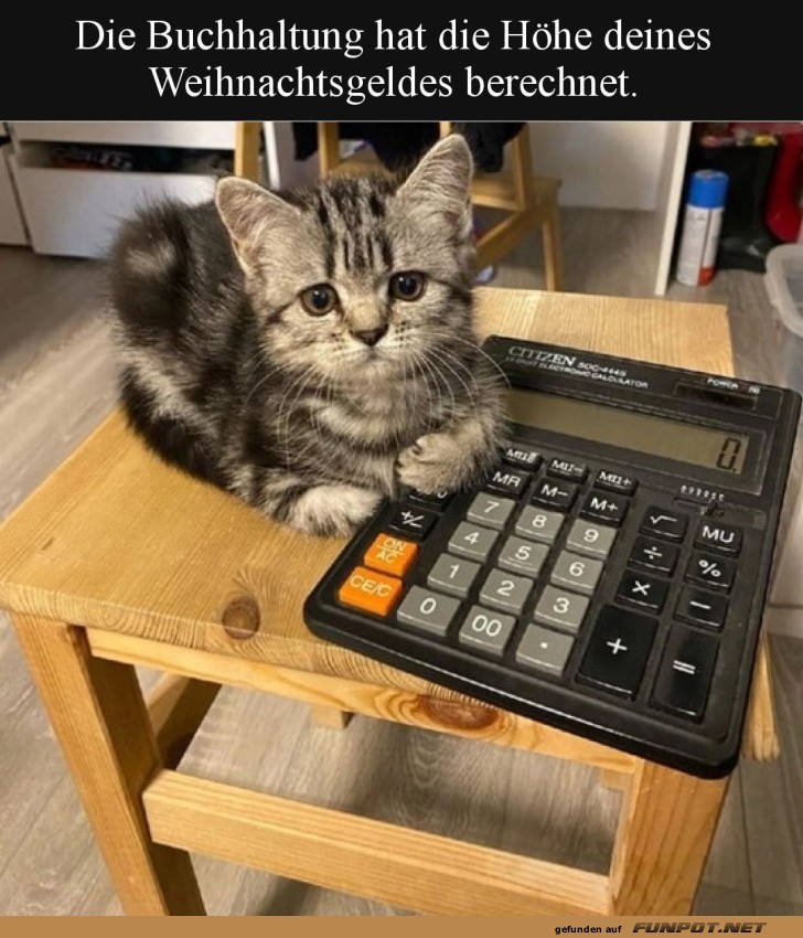 K�tzchen pr�ft dein Weihnachtsbudget!