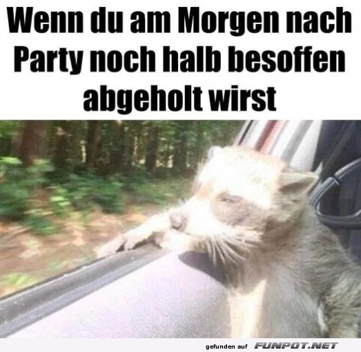 M�der Partyg�nger auf Abenteuertour