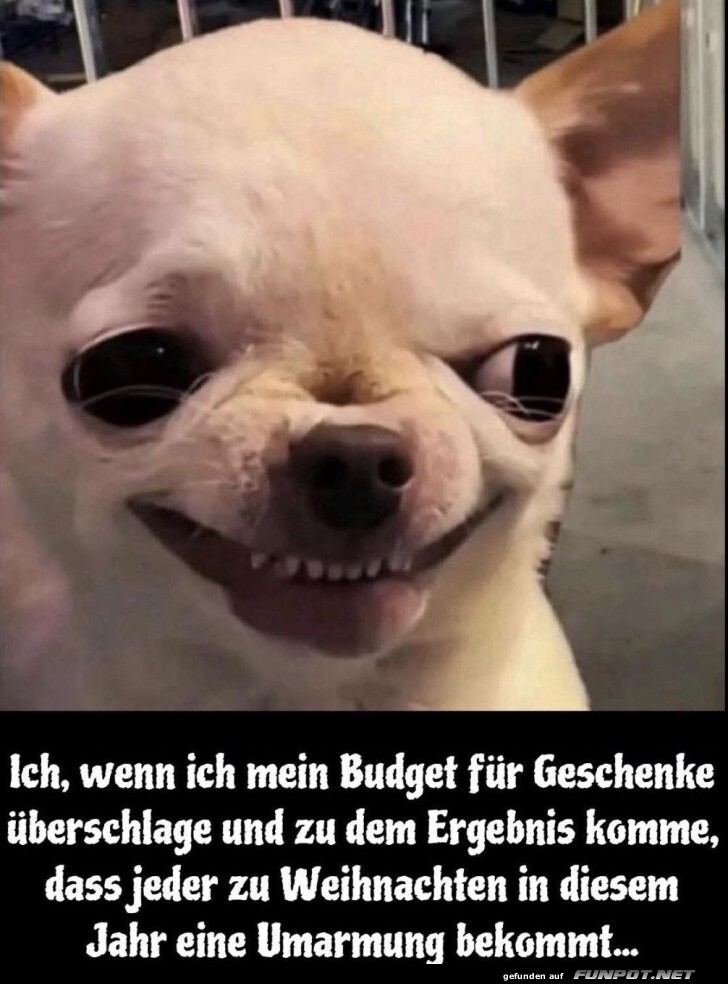 Wenn Budget-Grinch auf Geschenkideen trifft