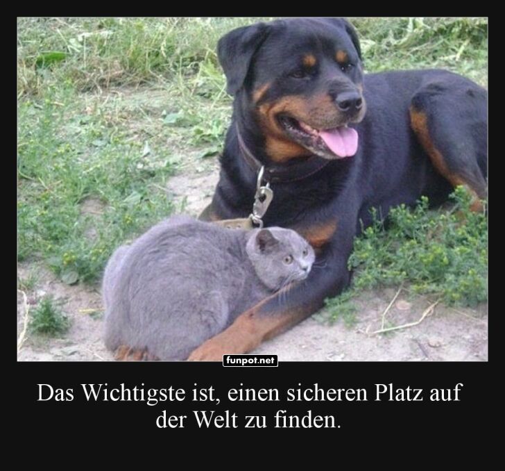 Unwahrscheinliche Freundschaften