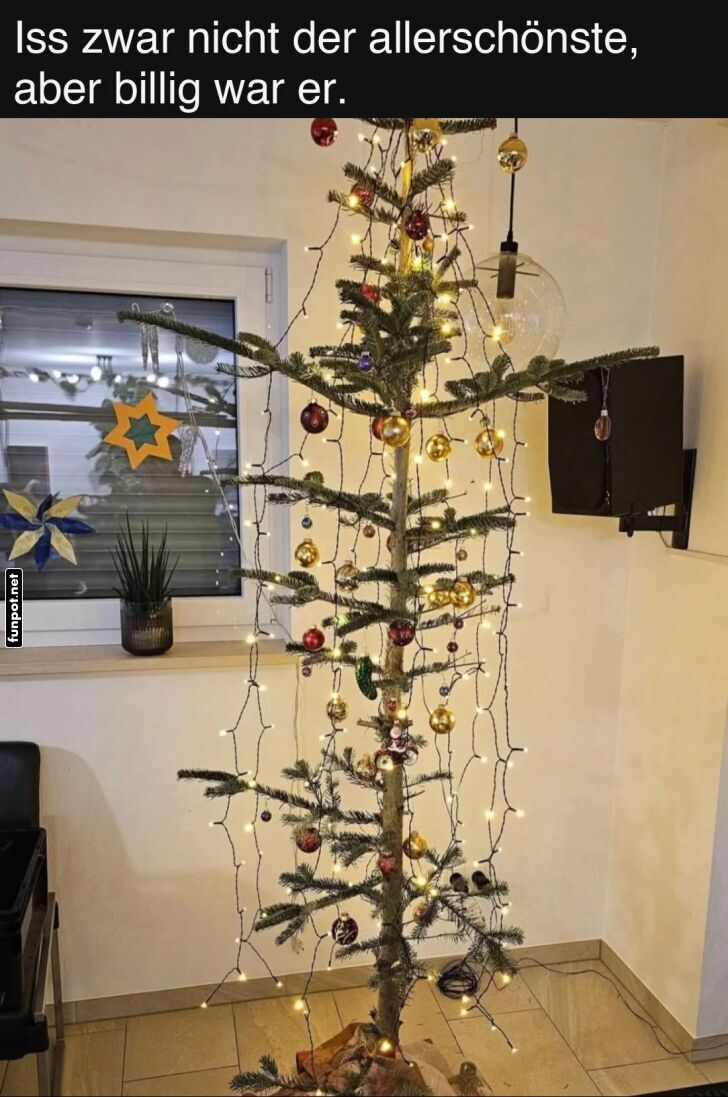 Der Minimalist unter den Weihnachtsb�umen