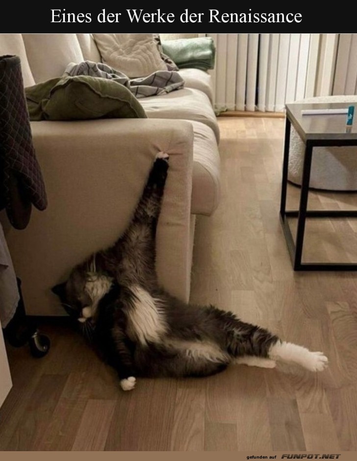 Katzenkunst: Renaissance Edition