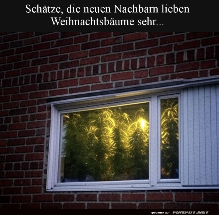 Weihnachtliches Gr�n das ganze Jahr!