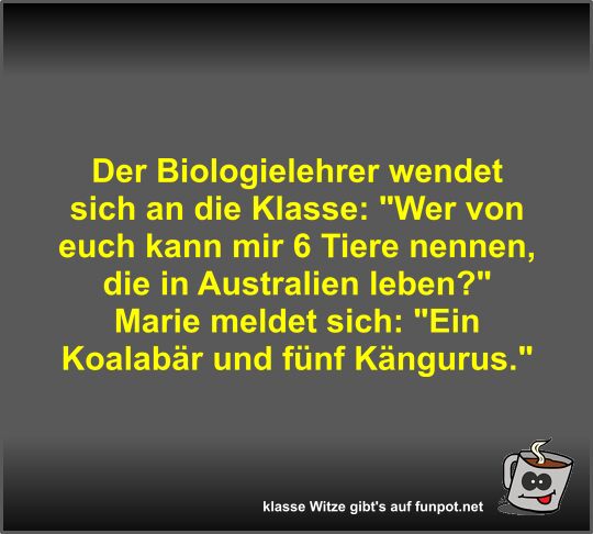 Der Biologielehrer wendet sich an die Klasse