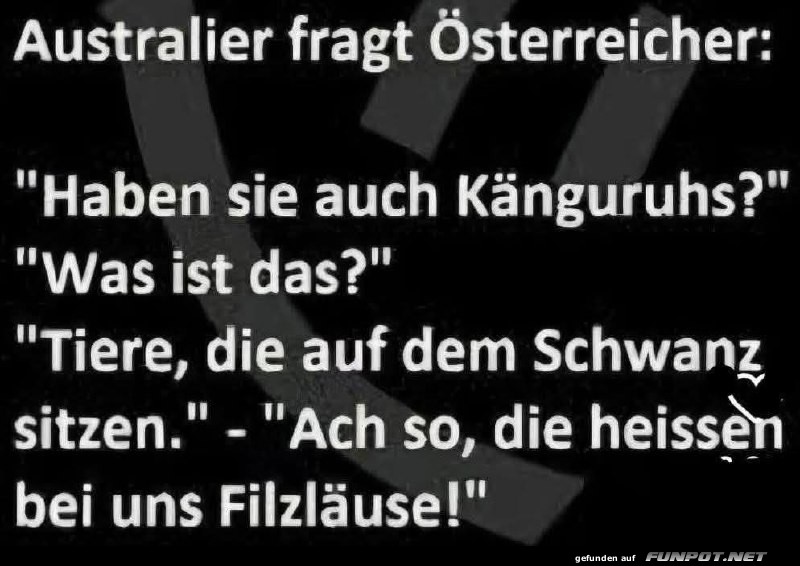 Missverst�ndnis unter Tieren