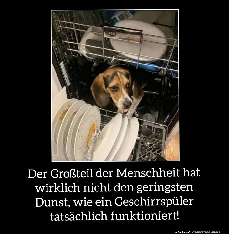 Neueste Geschirrsp�ltechnik: Hundskraft!