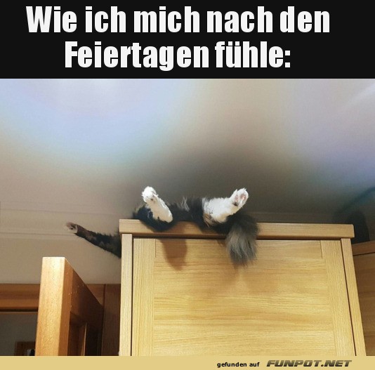 Nach den Feiertagen festgefahren!