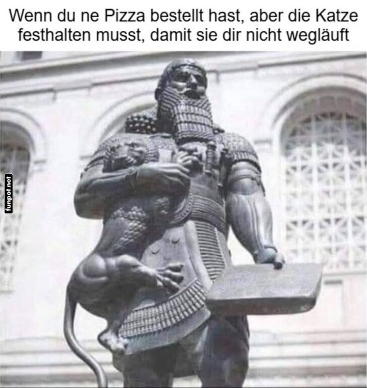 Wenn Katzen bes�nftigen zur K�nigsdisziplin wird