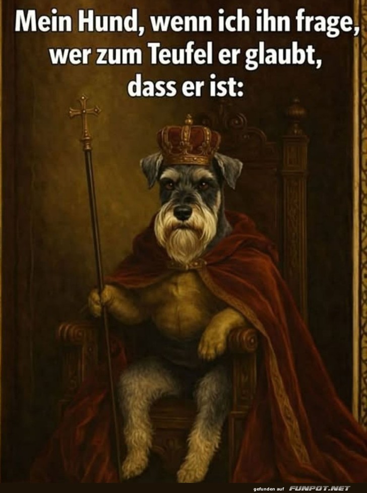 Royale Anwandlungen auf vier Pfoten