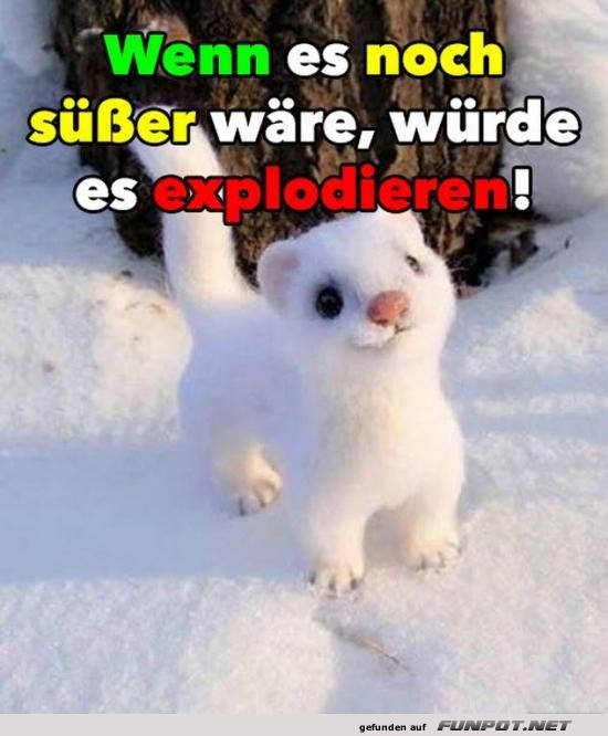 Vorsicht, Zuckerschock!