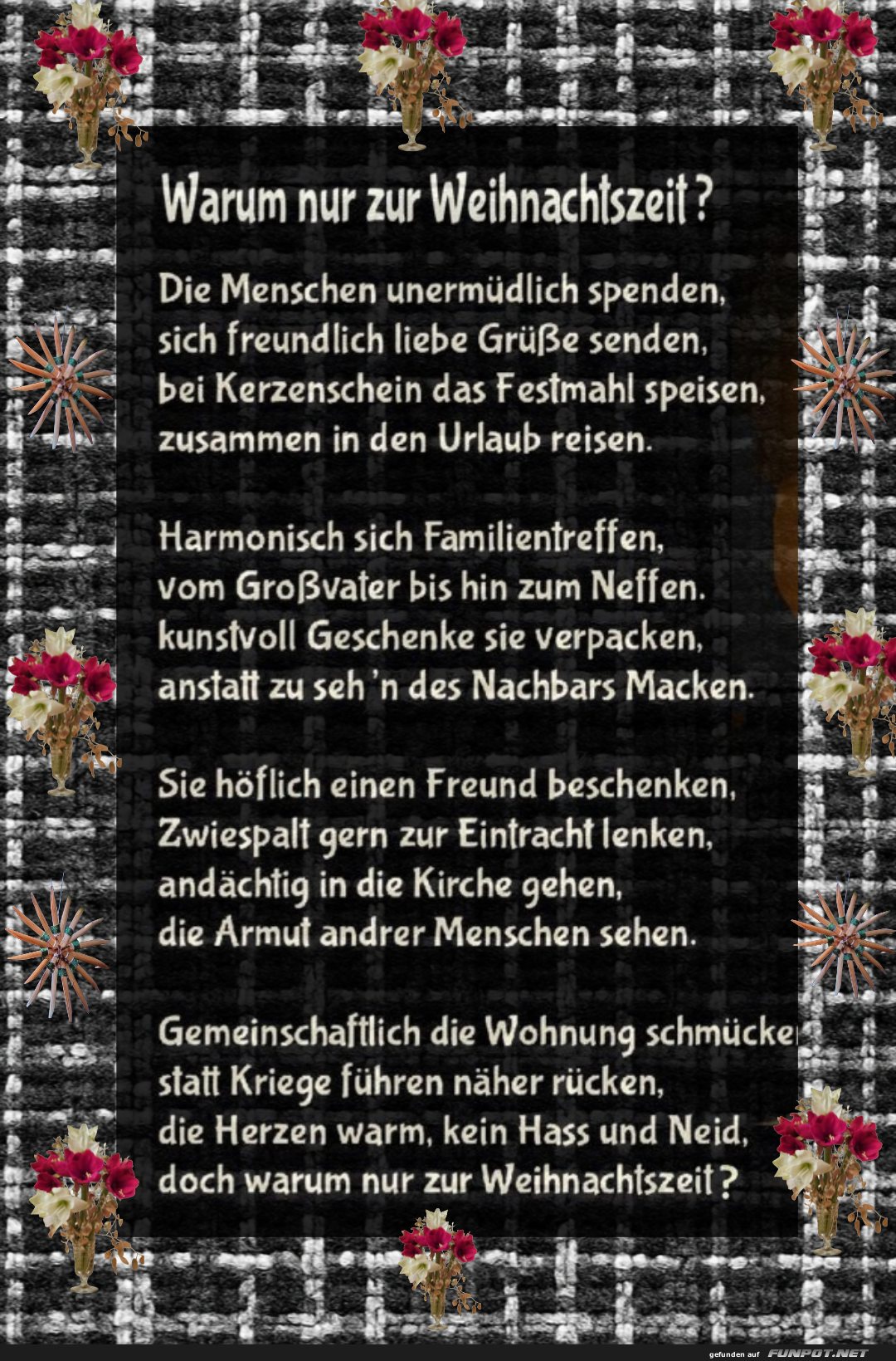 warum nur zur weihnachtszeit