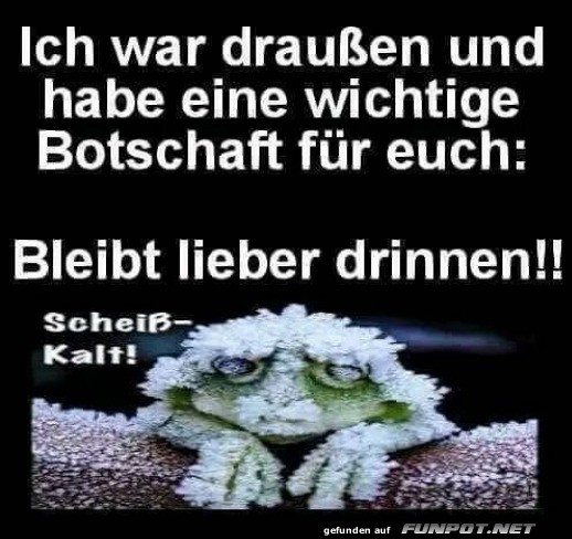 Frostiger Ratschlag vom Schlappohr