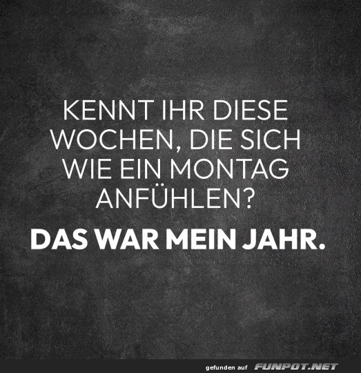 Ein ganzes Jahr Montag