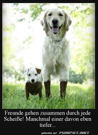 Beste Freunde in H�hen und Tiefen