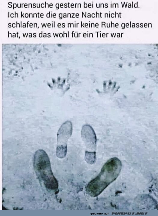 Was war das f�r ein Tier?