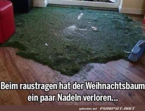 Ein paar Nadeln sind abgefallen