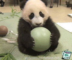 Das ist meins Das ist meins